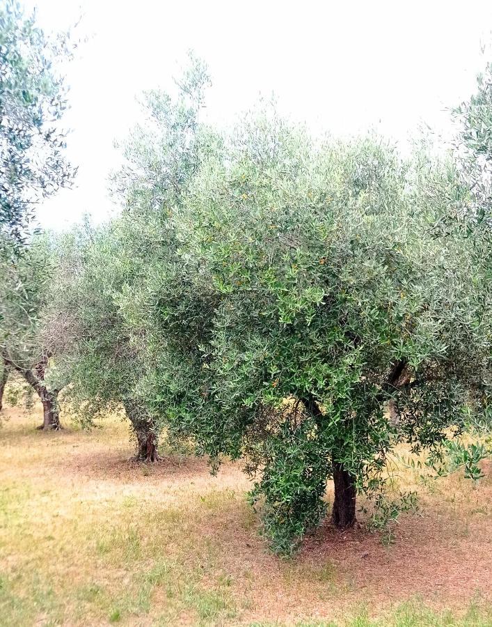 Tenuta Bardi Villa Baldassarri Exterior foto